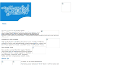 Desktop Screenshot of cityskoots.com